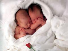 les beaux bébé